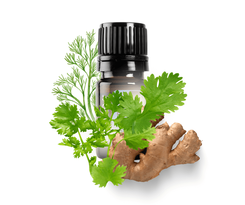 Seedimist toetav eeterlike õlide segu 5 ml