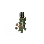 Kopaiiva – Copaiba (Copaifera spp.) 15 ml eeterlik õli