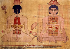 Tiibeti meditsiin